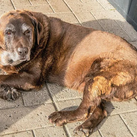 Prázdninový dům 4 Person In Højer