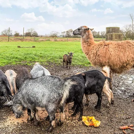 Ferienhaus 4 Person In